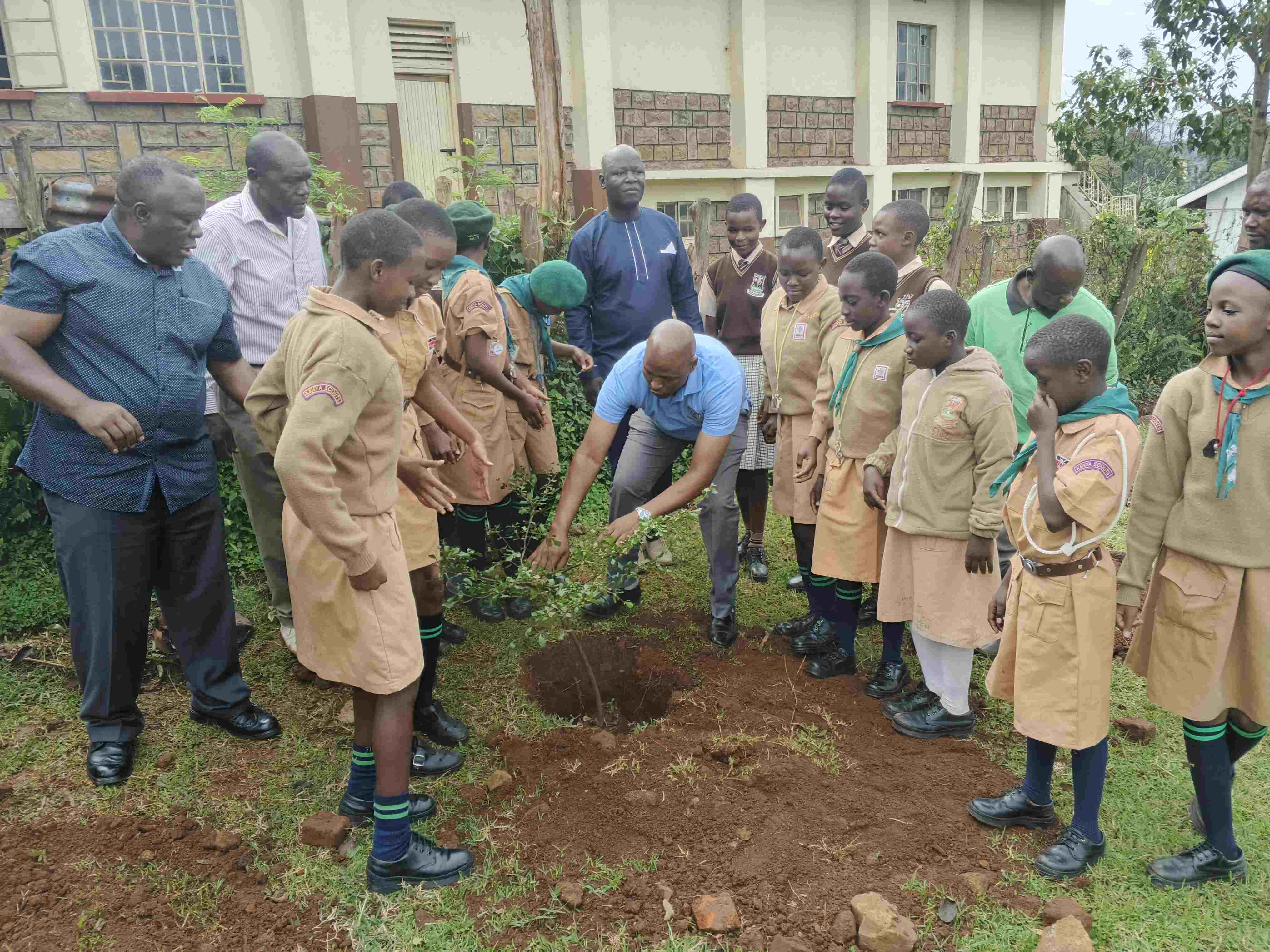 Tree planting day
